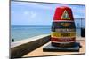 Southernmost Point in Continental USA in Key West,Florida-nito-Mounted Photographic Print