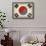 Southkorea-David Bowman-Framed Stretched Canvas displayed on a wall