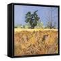 Southolt Corn Field-Christine McKechnie-Framed Stretched Canvas