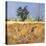 Southolt Corn Field-Christine McKechnie-Stretched Canvas