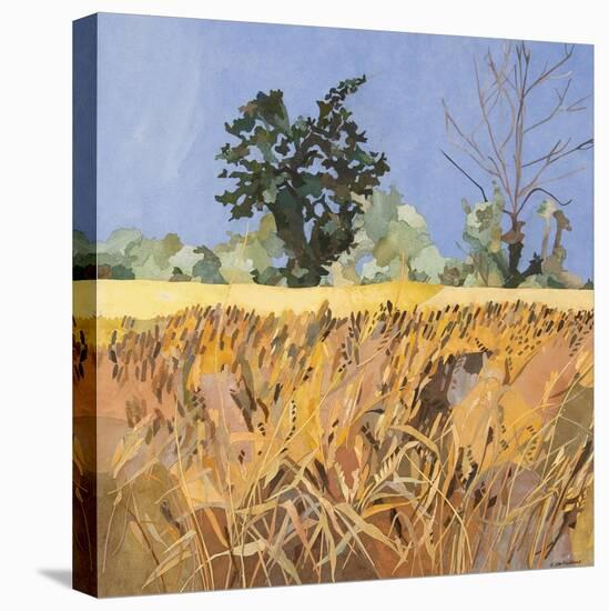 Southolt Corn Field-Christine McKechnie-Stretched Canvas