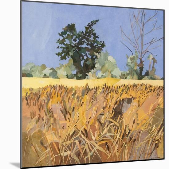 Southolt Corn Field-Christine McKechnie-Mounted Giclee Print