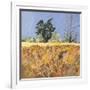 Southolt Corn Field-Christine McKechnie-Framed Giclee Print