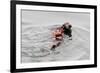 Southrn Sea Otter-Hal Beral-Framed Photographic Print