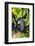 Southwest Australia, Margaret River Wine Region, Vineyard-Walter Bibikow-Framed Photographic Print