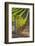 Southwest Australia, Margaret River Wine Region, Vineyard-Walter Bibikow-Framed Photographic Print