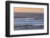 Southwest Australia, Prevelly, Surfers Point, Windsurfers, Dusk-Walter Bibikow-Framed Photographic Print