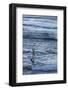 Southwest Australia, Prevelly, Surfers Point, Windsurfers, Dusk-Walter Bibikow-Framed Photographic Print