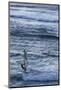 Southwest Australia, Prevelly, Surfers Point, Windsurfers, Dusk-Walter Bibikow-Mounted Photographic Print