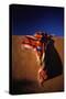 Southwest Blanket on Adobe Wall-Jim Zuckerman-Stretched Canvas