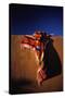 Southwest Blanket on Adobe Wall-Jim Zuckerman-Stretched Canvas