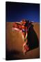 Southwest Blanket on Adobe Wall-Jim Zuckerman-Stretched Canvas