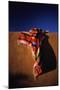 Southwest Blanket on Adobe Wall-Jim Zuckerman-Mounted Photographic Print
