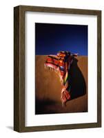 Southwest Blanket on Adobe Wall-Jim Zuckerman-Framed Photographic Print