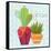 Southwest Cactus II-Courtney Prahl-Framed Stretched Canvas