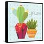 Southwest Cactus II-Courtney Prahl-Framed Stretched Canvas