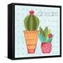 Southwest Cactus IV-Courtney Prahl-Framed Stretched Canvas
