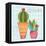 Southwest Cactus IV-Courtney Prahl-Framed Stretched Canvas