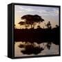 Southwest Ethiopia, Omo River, Sunset on Banks of Omo River Near a Dassanech Village, Ethiopia-Nigel Pavitt-Framed Stretched Canvas