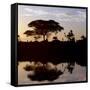 Southwest Ethiopia, Omo River, Sunset on Banks of Omo River Near a Dassanech Village, Ethiopia-Nigel Pavitt-Framed Stretched Canvas