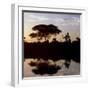 Southwest Ethiopia, Omo River, Sunset on Banks of Omo River Near a Dassanech Village, Ethiopia-Nigel Pavitt-Framed Photographic Print