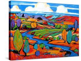 Southwest Fauve Landscape-Patty Baker-Stretched Canvas