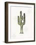 Southwest Flair VI-Anne Tavoletti-Framed Art Print