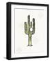 Southwest Flair VI-Anne Tavoletti-Framed Art Print