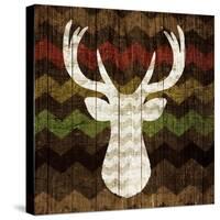 Southwest Lodge-Michael Mullan-Stretched Canvas