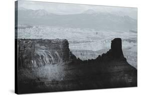 Southwest Sun BW-Nathan Larson-Stretched Canvas