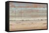 Southwest Vista I-Tim OToole-Framed Stretched Canvas