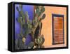 Southwestern Cactus and Window, Tucson, Arizona, USA-Tom Haseltine-Framed Stretched Canvas