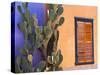 Southwestern Cactus and Window, Tucson, Arizona, USA-Tom Haseltine-Stretched Canvas