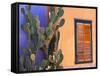 Southwestern Cactus and Window, Tucson, Arizona, USA-Tom Haseltine-Framed Stretched Canvas