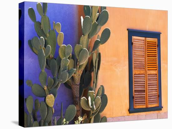 Southwestern Cactus and Window, Tucson, Arizona, USA-Tom Haseltine-Stretched Canvas