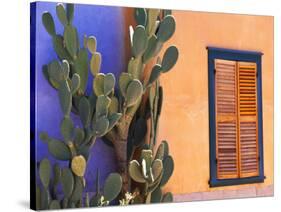 Southwestern Cactus and Window, Tucson, Arizona, USA-Tom Haseltine-Stretched Canvas