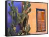 Southwestern Cactus and Window, Tucson, Arizona, USA-Tom Haseltine-Framed Stretched Canvas