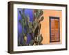 Southwestern Cactus and Window, Tucson, Arizona, USA-Tom Haseltine-Framed Premium Photographic Print