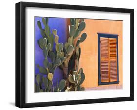 Southwestern Cactus and Window, Tucson, Arizona, USA-Tom Haseltine-Framed Premium Photographic Print