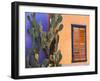 Southwestern Cactus and Window, Tucson, Arizona, USA-Tom Haseltine-Framed Premium Photographic Print