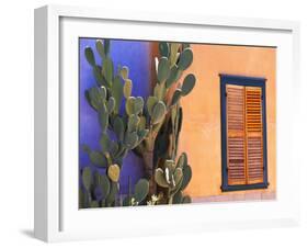 Southwestern Cactus and Window, Tucson, Arizona, USA-Tom Haseltine-Framed Premium Photographic Print