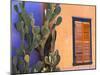 Southwestern Cactus and Window, Tucson, Arizona, USA-Tom Haseltine-Mounted Premium Photographic Print