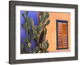 Southwestern Cactus and Window, Tucson, Arizona, USA-Tom Haseltine-Framed Photographic Print