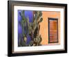 Southwestern Cactus and Window, Tucson, Arizona, USA-Tom Haseltine-Framed Photographic Print