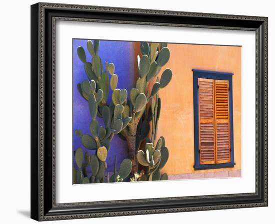 Southwestern Cactus and Window, Tucson, Arizona, USA-Tom Haseltine-Framed Photographic Print