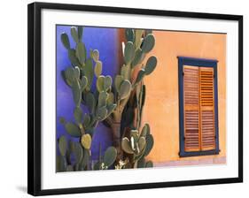 Southwestern Cactus and Window, Tucson, Arizona, USA-Tom Haseltine-Framed Photographic Print