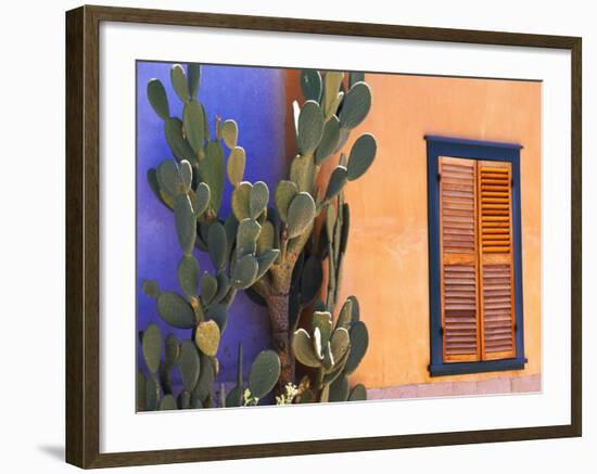 Southwestern Cactus and Window, Tucson, Arizona, USA-Tom Haseltine-Framed Photographic Print