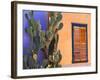 Southwestern Cactus and Window, Tucson, Arizona, USA-Tom Haseltine-Framed Photographic Print