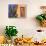 Southwestern Cactus and Window, Tucson, Arizona, USA-Tom Haseltine-Photographic Print displayed on a wall