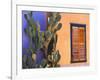 Southwestern Cactus and Window, Tucson, Arizona, USA-Tom Haseltine-Framed Photographic Print